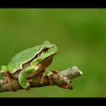 To jsi přehnal, že bych měla zhubnout !