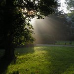 Another Dawn in the Park