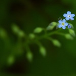 Tak jde čas. Růst.