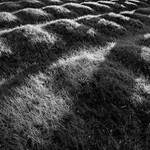 bez návratu , 1914 - 18