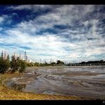 Třebovické kaliště