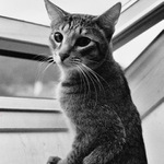 šmíruju... no a co?