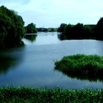 Rybník ve Vlkově