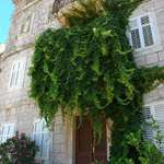 Starý přístavní hotel