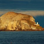 North Berwick - Zlatá hora