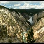 Ty šutry jsou vážně žluté