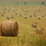taková banální fotografie