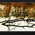 Když hladina kouzlí