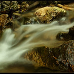 <b>...ZLATAVÁ...</b> <hr> <b>