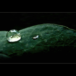 <b>...DEŠŤOVÁ KULIČKA...</b> <hr> <b>