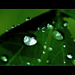 <b>...KAPKOVÁ...</b> <hr><pozn> <b>