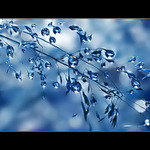 kapky - kapky - kapičky III