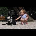 >>>Až já budu velká, bude ze mě selka...<<<