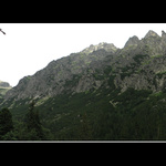 z perspektivy mravca