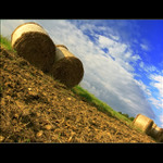 Hej vy, balíci, počkejte na nás..!