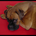 moje tlama potřetí :o)