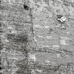 warszawian kontrasts