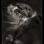 Co se děje v trávě II.