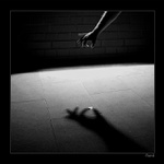 Člověk ekologem...