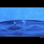 Byl jeden kopeček, na kopečku stromeček...