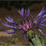 V jednoduchosti je krása