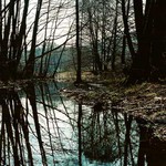 Zrkadlenie podôb II.