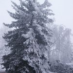 A za chvilku je tu ....