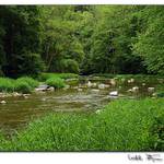 Údolí řeky Oslavy