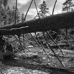 Údolí Bílé Opavy