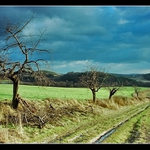 Podvecer na Klokocne