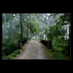 Návraty do veltruského parku I.