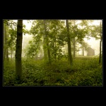 Návraty do veltruského parku II.