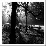 Návraty do veltruského parku III.