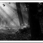 Návraty do veltruského parku V.