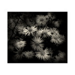 <b>:.NOČNÍ INTERVIEW II.: