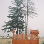 *** R O M A N I A - Graveyard in the morning  ***