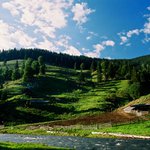 *** R O M A N I A - In the country ***