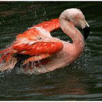 Mytí, včetně podvozku, prosím...