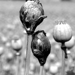 .. neříkejte pane, to jsou věci...