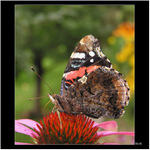 *** sosáčkama na stééééč! ***