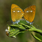 Netoč se ke mě furt zády!