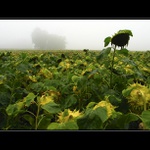 Na shledanou...léto