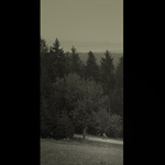 Na cestě z kostela domů