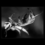 Jen si posluž přírodo