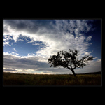 Krušné hory jsou malé