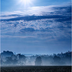 Ranní mlhy