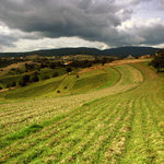 -= podpoľanie II. =-