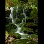 Šumava Šumavěnka...