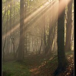 <b>** Svítání **</b>