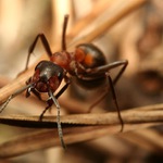 Hele konec pózování, ja musím makat!